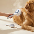 Golden retriever being groomed with the steam brush as a fine mist settles the loose coat