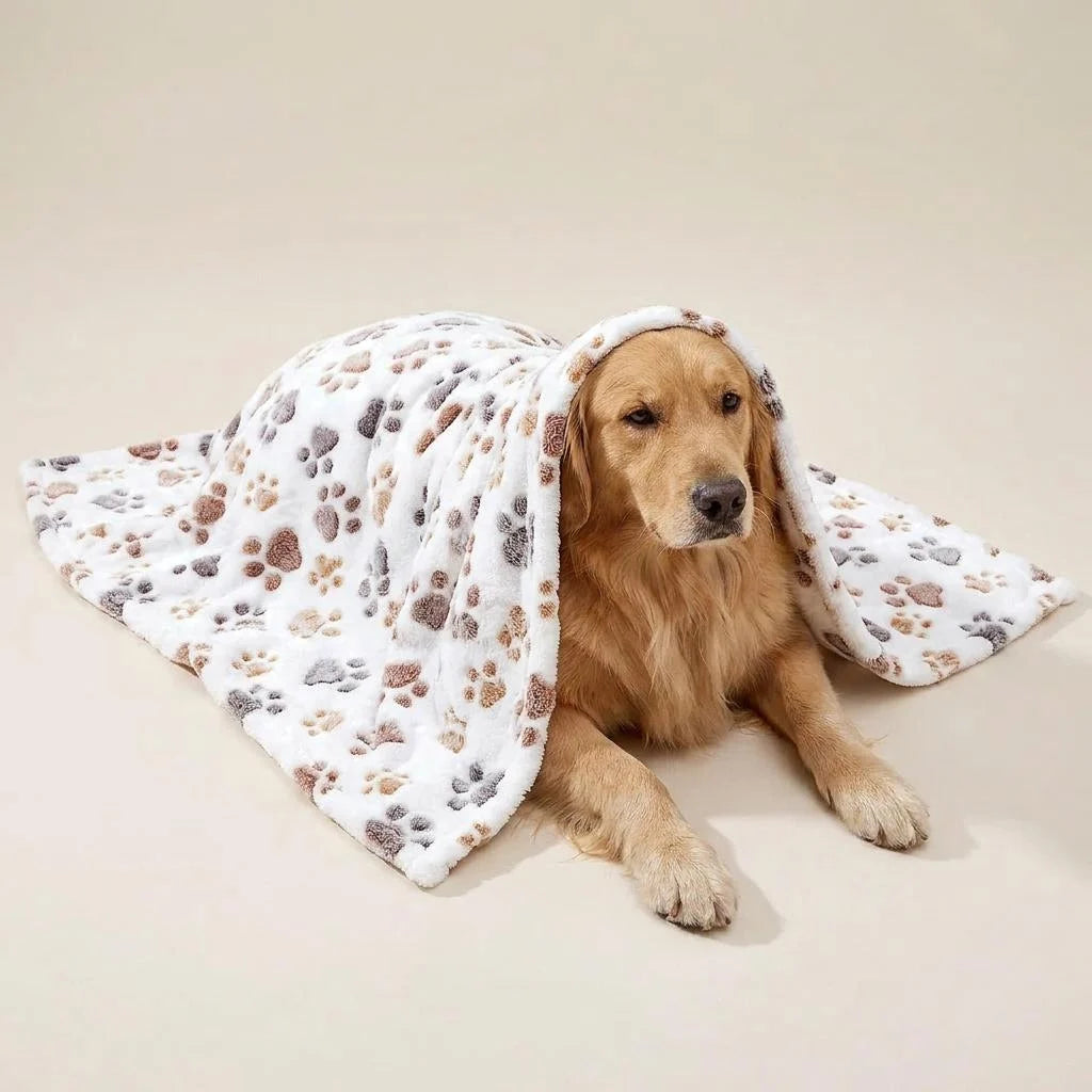 Coral velvet pet blanket draped over furniture to protect it