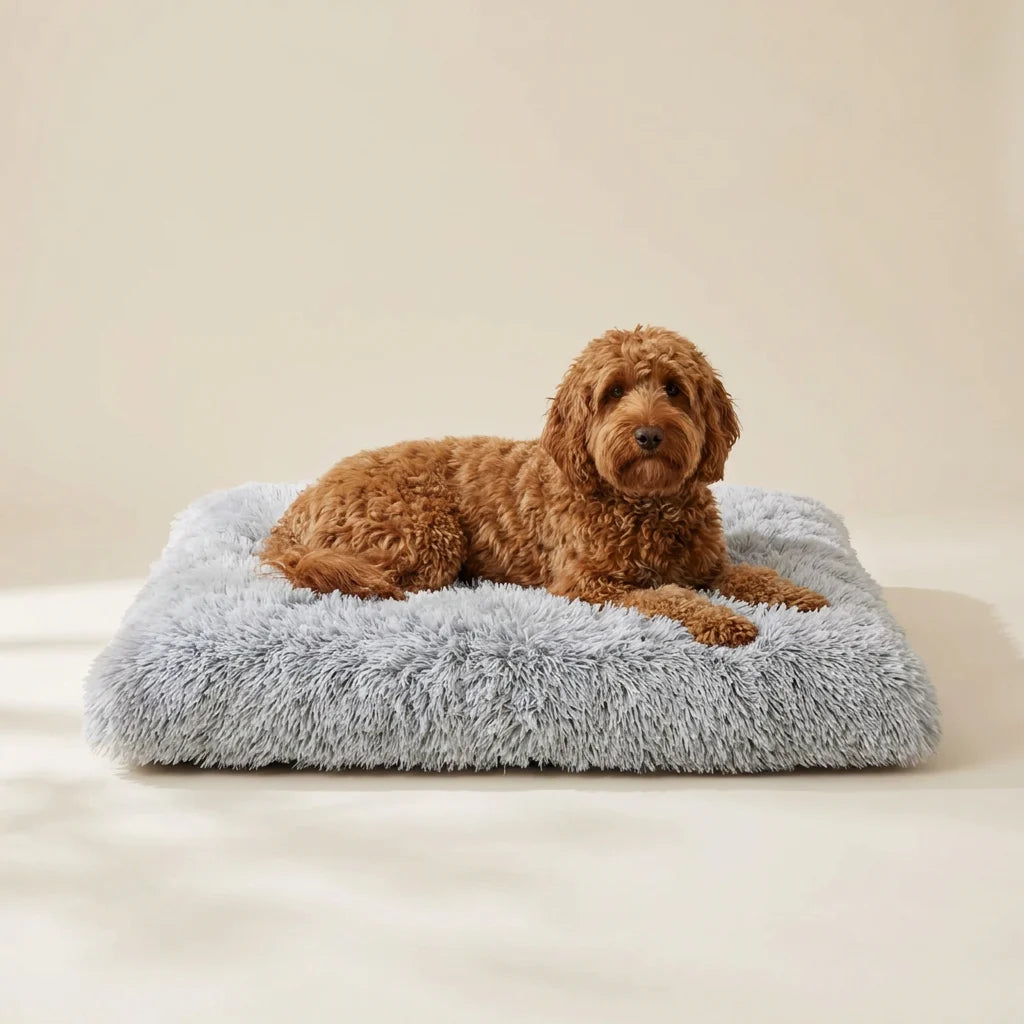 Foldable pet mat bed shown folded for travel