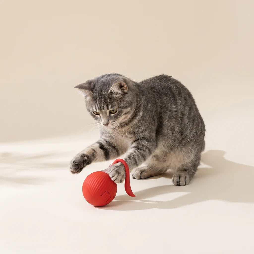 Rolling cat ball shown in Magic Tail and rope styles across available colours